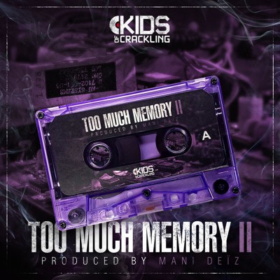 MANI DEIZ  "TOO MUCH MEMORY II"