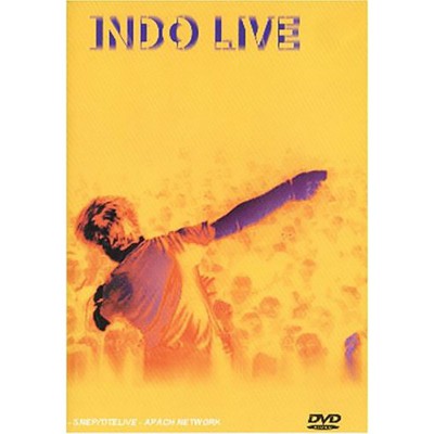 INDOCHINE  "INDO LIVE" DVD