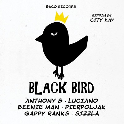 BIG SLAP - BLACK BIRD