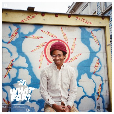 TORO Y MOI  "WHAT FOR?"