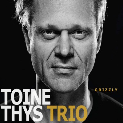 TOINE THYS TRIO  "GRIZZLY"