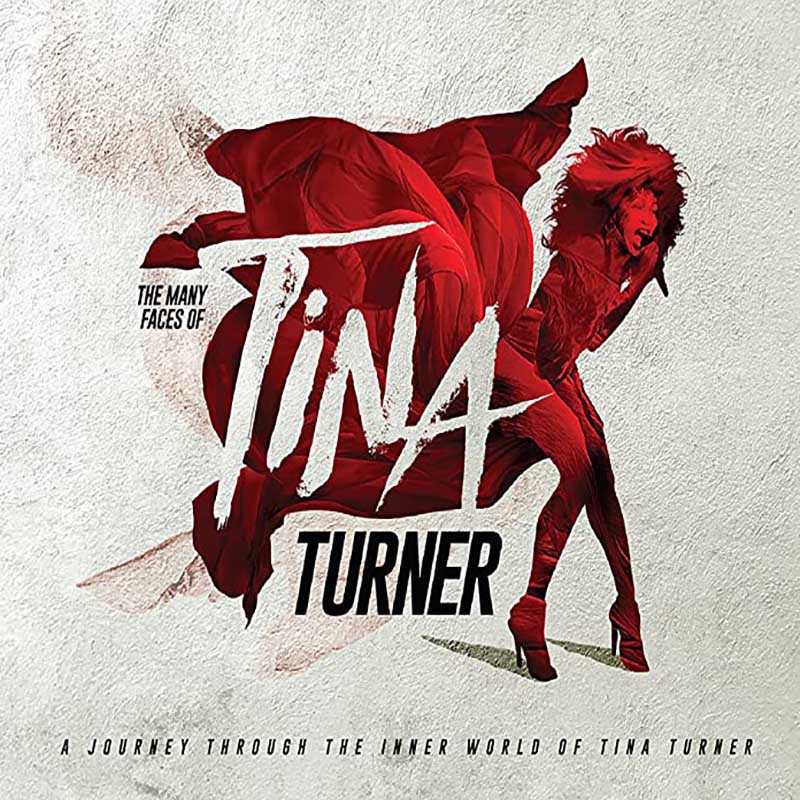 TINA TURNER & VARIOUS ARTISTS "THE MANY FACES OF TINA TURNER"