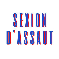 SEXION D'ASSAUT